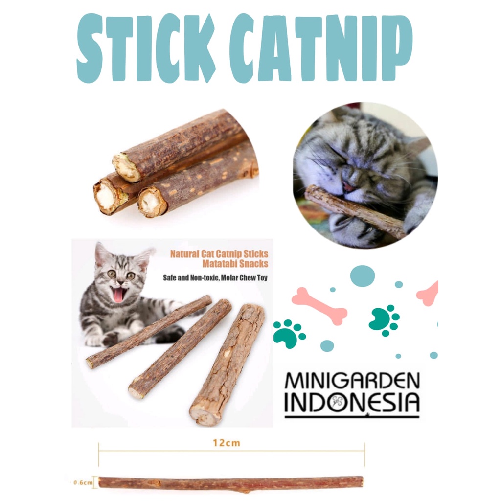 ECER 1PC STICK CATNIP snack murni catnip natural pembersih gigi kucing