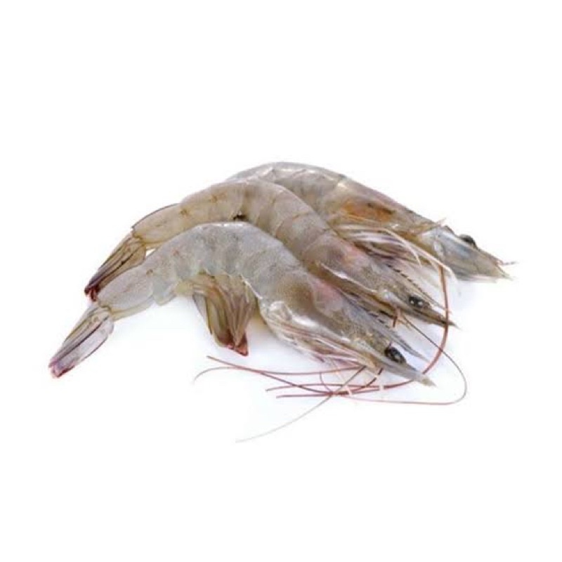 

Udang Fresh 1 Kg Uk Sedang