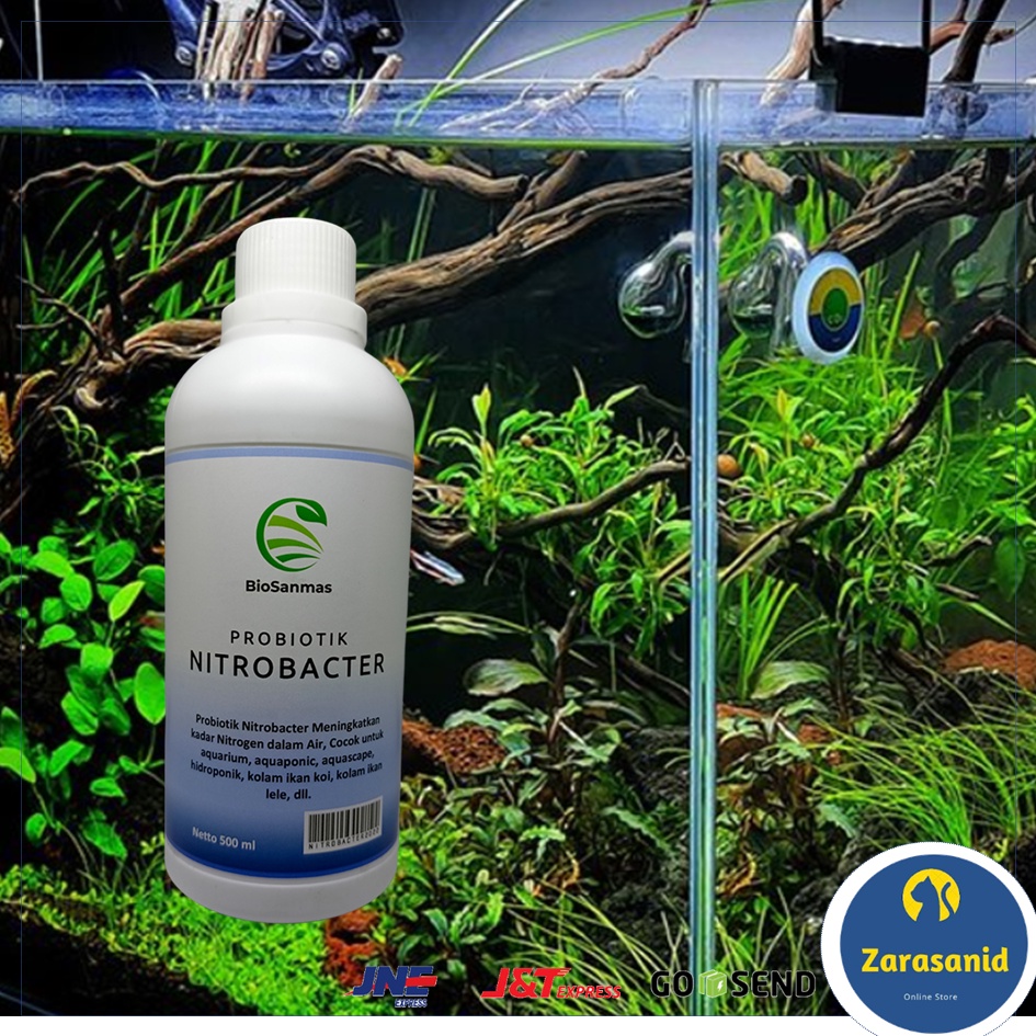 Probiotik NITROBACTER Menaikan Kadar Nitrogen dalam air untuk Aquarium Aquascape Aquaponic Hidroponik Kolam Koi Kolam Lele