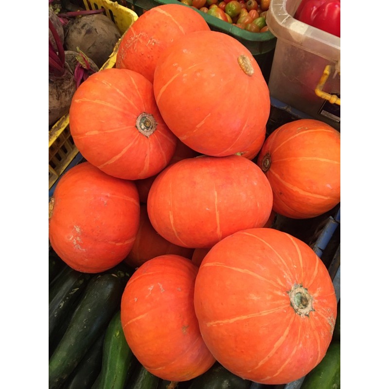 

Labu kuning / kabocha / labu jepang / kaboca