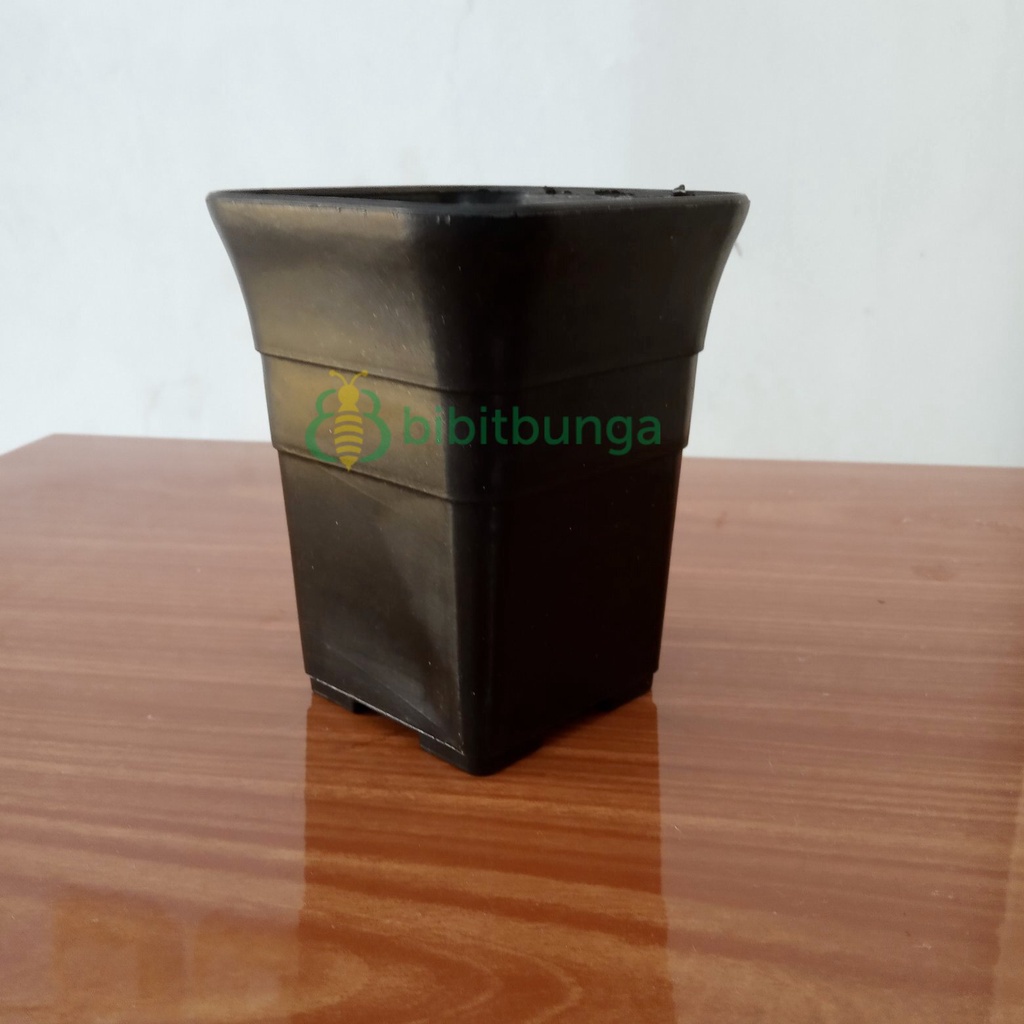 Pot Kotak Batik Plastik NKT Hitam 8cm Vas Kaktus Meja Bonsai Mini Unik