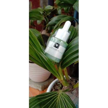 SERUM ACNE//SERUM JERAWAT NPR (Serum Anti jerawat)