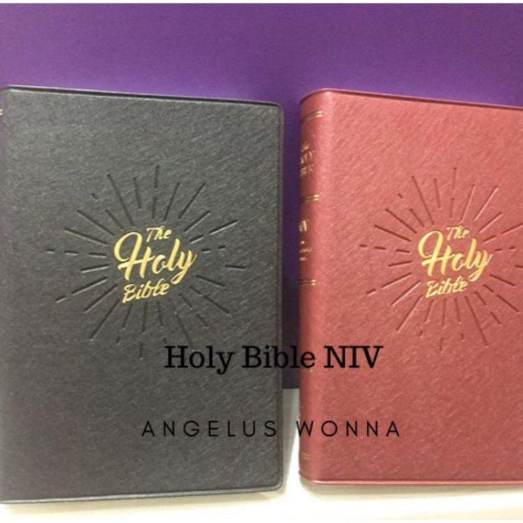 Holy Bible NIV