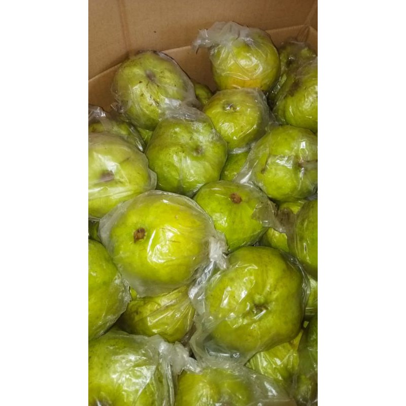 

jambu kristal manis 1kg asli kebumen