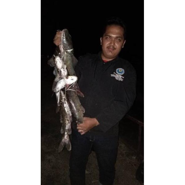 [KODE QX9756] Kucur Umpan Mancing Khusus Ikan Baung