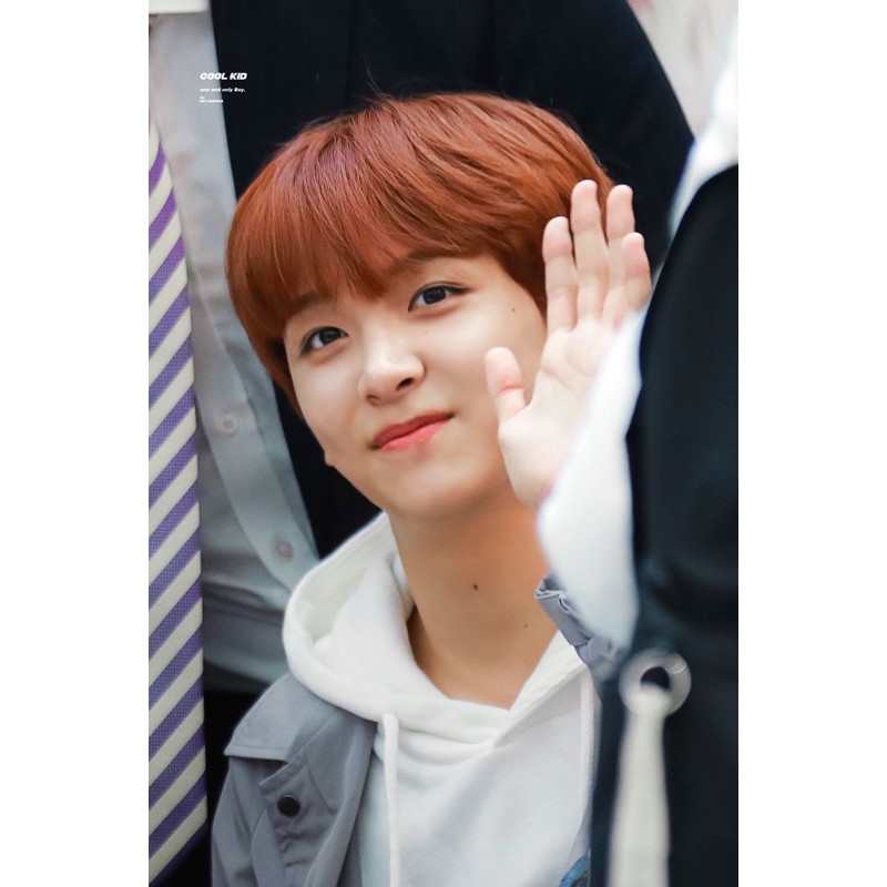 

packing GO by zhufrinie