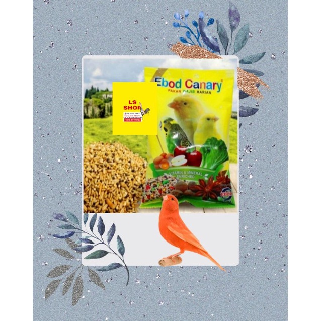 2 BKS EBOD CANARY SACHET PAKAN 2 x 200 gram BURUNG KENARI MAKANAN BURUNG HARIAN CANARI BLACKTROAT FINCH ASLI ORI EBOD JAYA