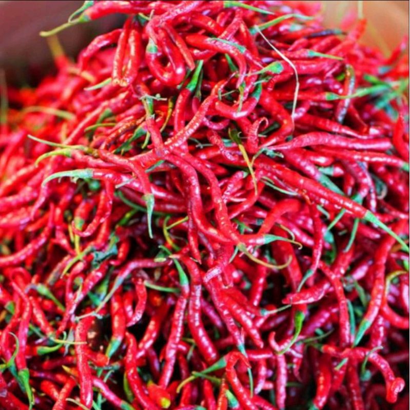 

cabai merah keriting segar 250gr