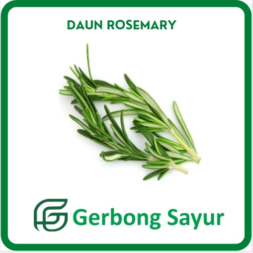 

Daun Rosemary Segar 1 Ikat