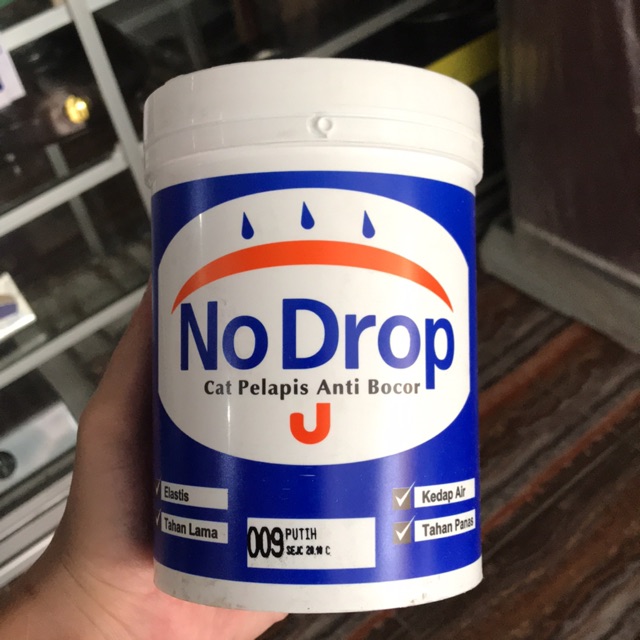 Cat Tembok Dinding No Drop Avian 1 Kg