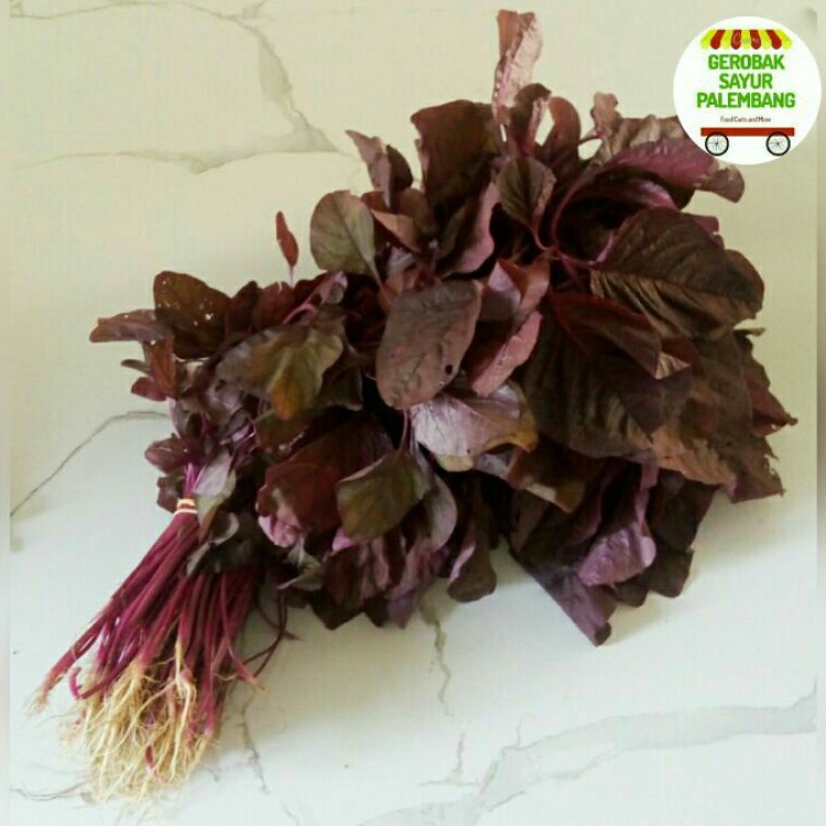

Bayam Merah per ikat - Gerobak Sayur Palembang
