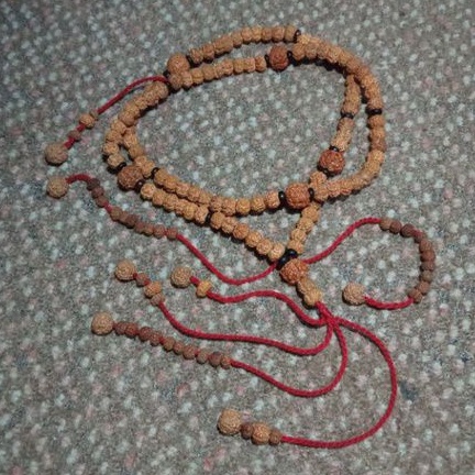 Tasbih tijani genitri original | Asli jenitri rudraksha