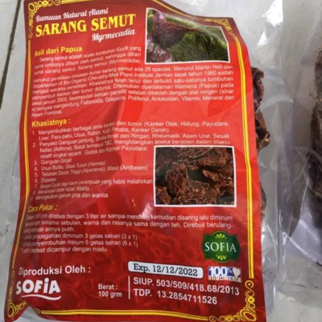 SARANG SEMUT PAPUA