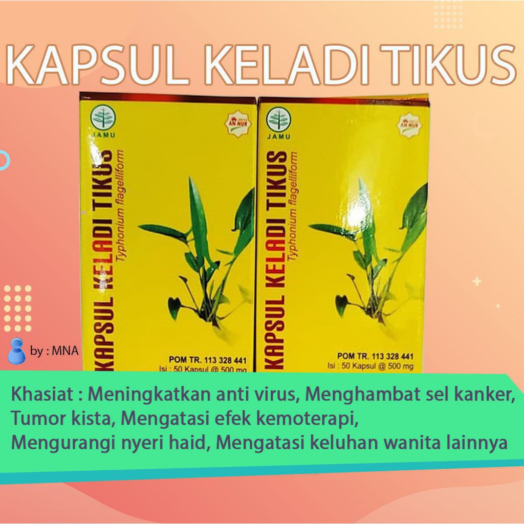 Obat Herbal Nyeri Haid Keladi Tikus Griya An-nur Isi 50 Kapsul