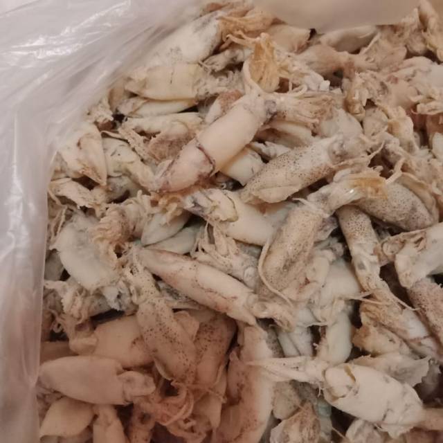 

Baby cumi putih asin 1/4kg