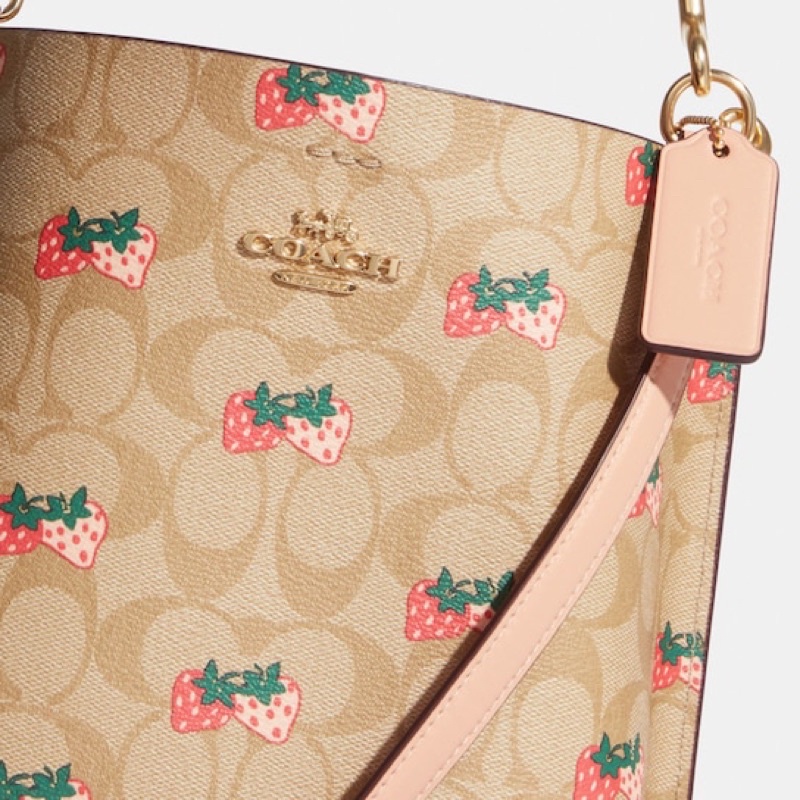 Coach Mollie Bucket Bag 22 In Signature Canvas With Strawberry Print (CB602)