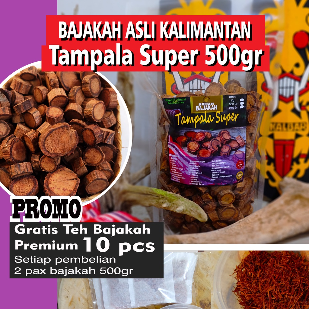 [ASLI] Bajakah TAMPALA super 500gr + BONUS Teh Bajakah/ Akar Kayu Bajakah Kalimantan