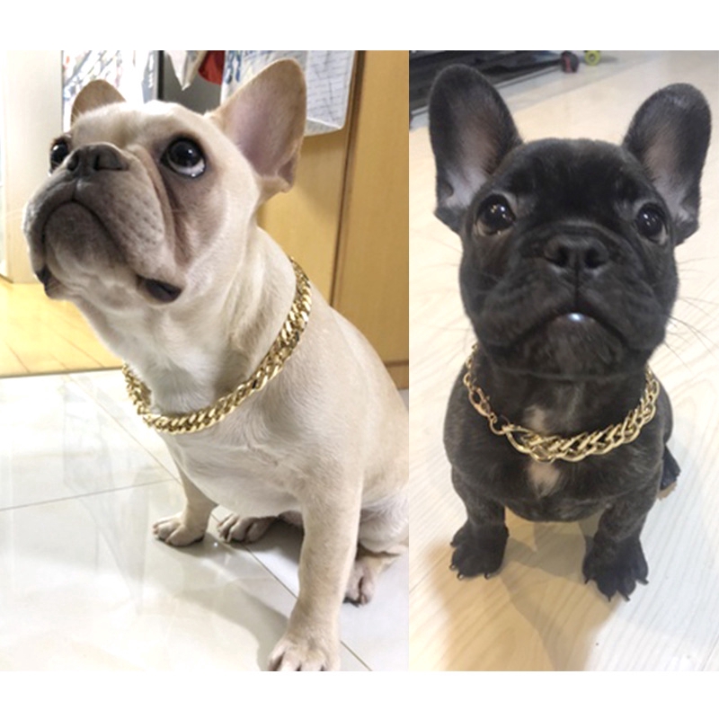 gold chain collar for small dog