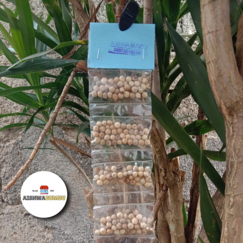 

Merica Rentengan 13 Pcs Harga Rp 5.000 | Bumbu Dapur