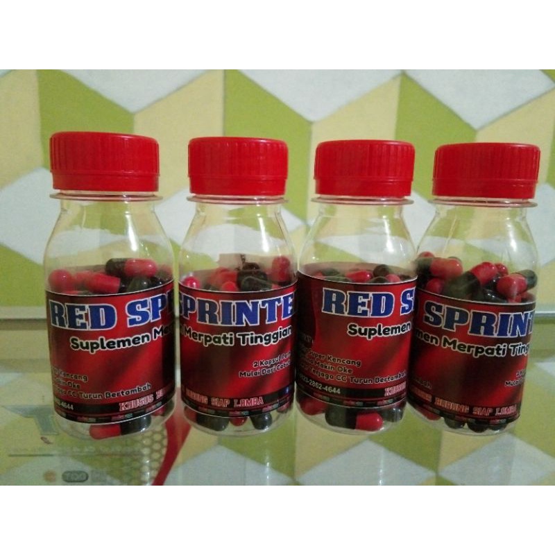 Red Sprinter merpati