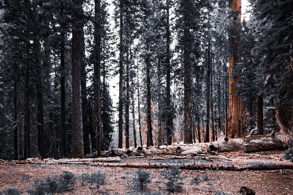 Baut Topi 8 6x40 Putih Flange Bolt