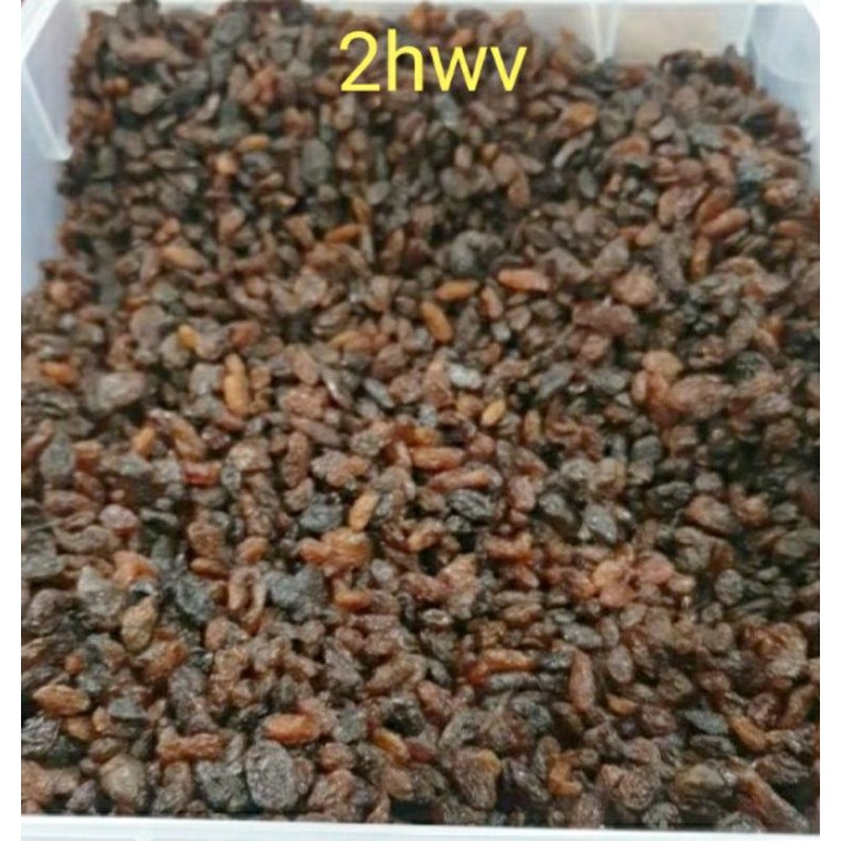 

Kismis Sultana 10 kg(Satu Dus)