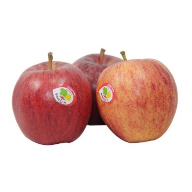 

Apel Gala / Apel Royal Gala 500 gram