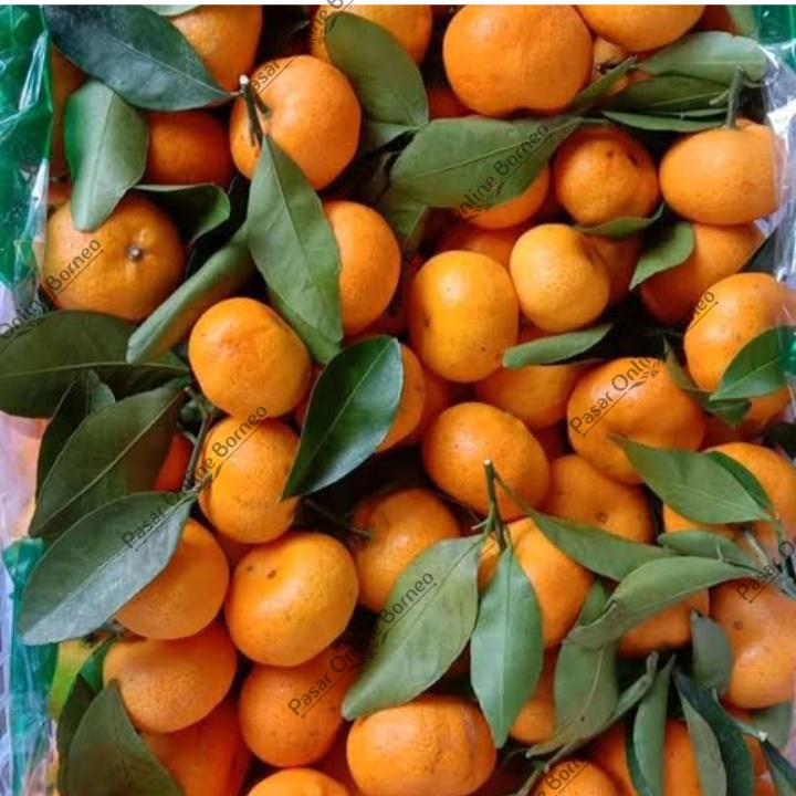 

Buah Segar Jeruk Santang 500Gram