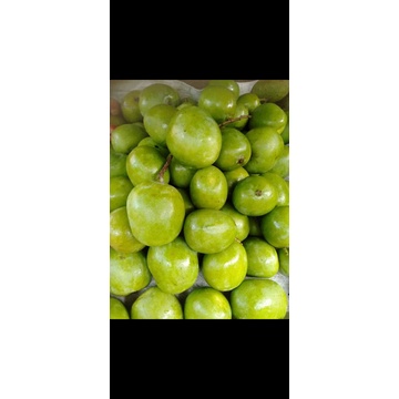 

mangga muda kampung
