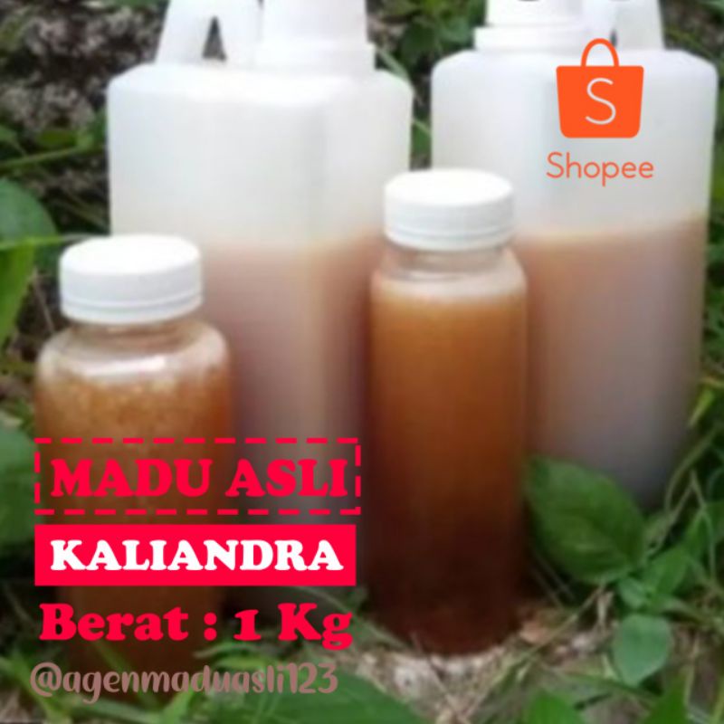 

Madu Asli Nektar Bunga Kaliandra 1kg | Bukan Al Qubro