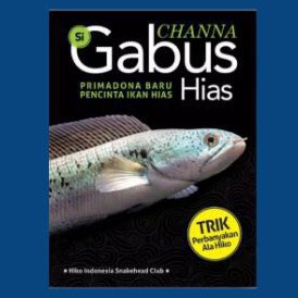 #CHANNA SI GABUS HIAS