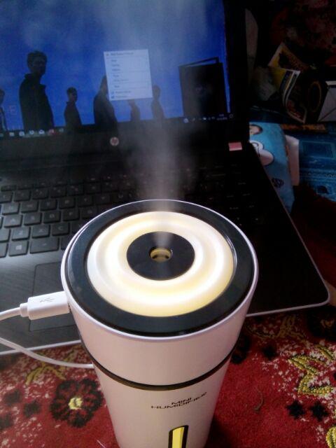 Alat Pelembab Udara Ruangan Bottle Mini Cup Humidifier Aromaterapi Lampu Tidur Ultrasonic 300ml