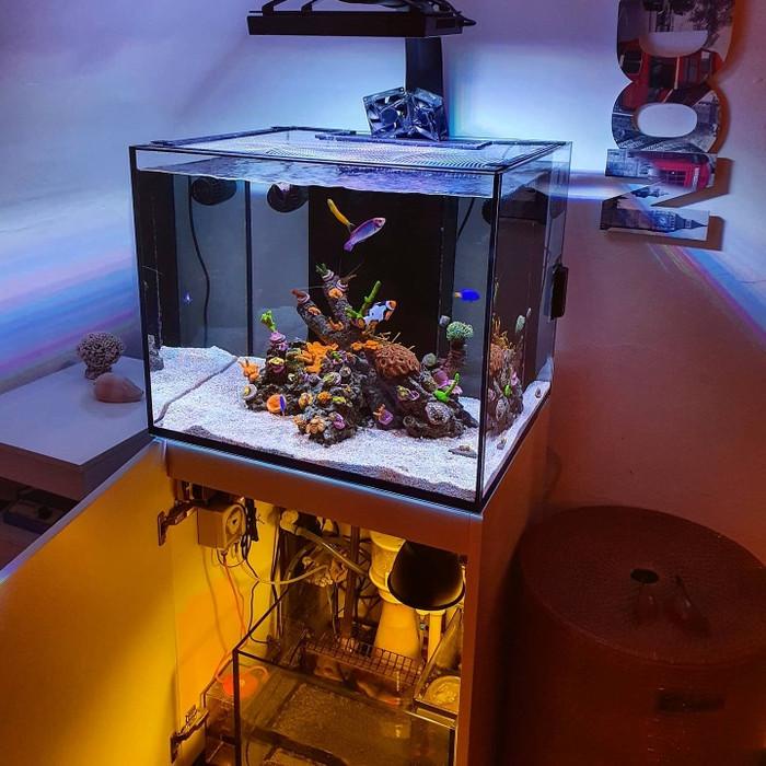 Aqua | Paket Aquarium Air Laut Premium