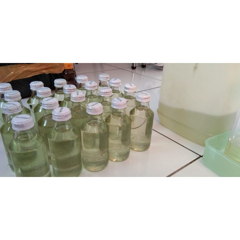 minyak kayu putih murni