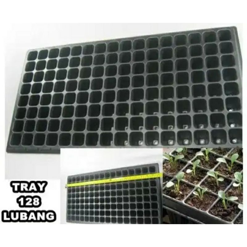Tray Semai / Seedling Tray - 128 Lubang TRAY TANAMAN