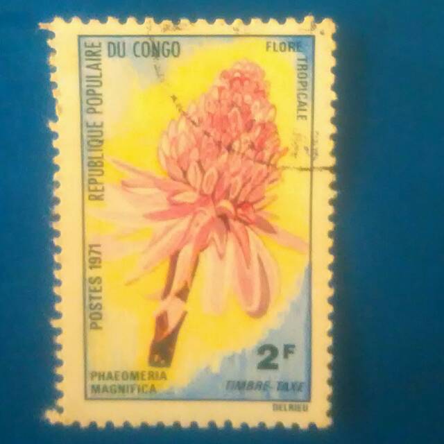 

Perangko Republique du Congo thn 1971 tema Flora Tropis