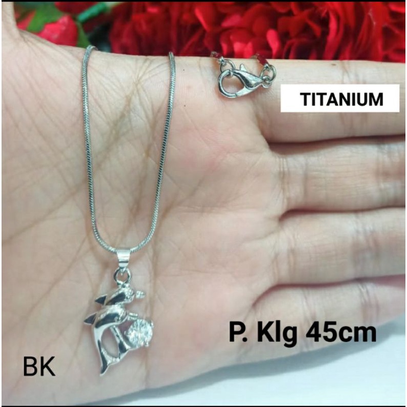 Kalung plus Liontin Titanium motif Lumba-lumba Permata Perhiasan Wanita Silver