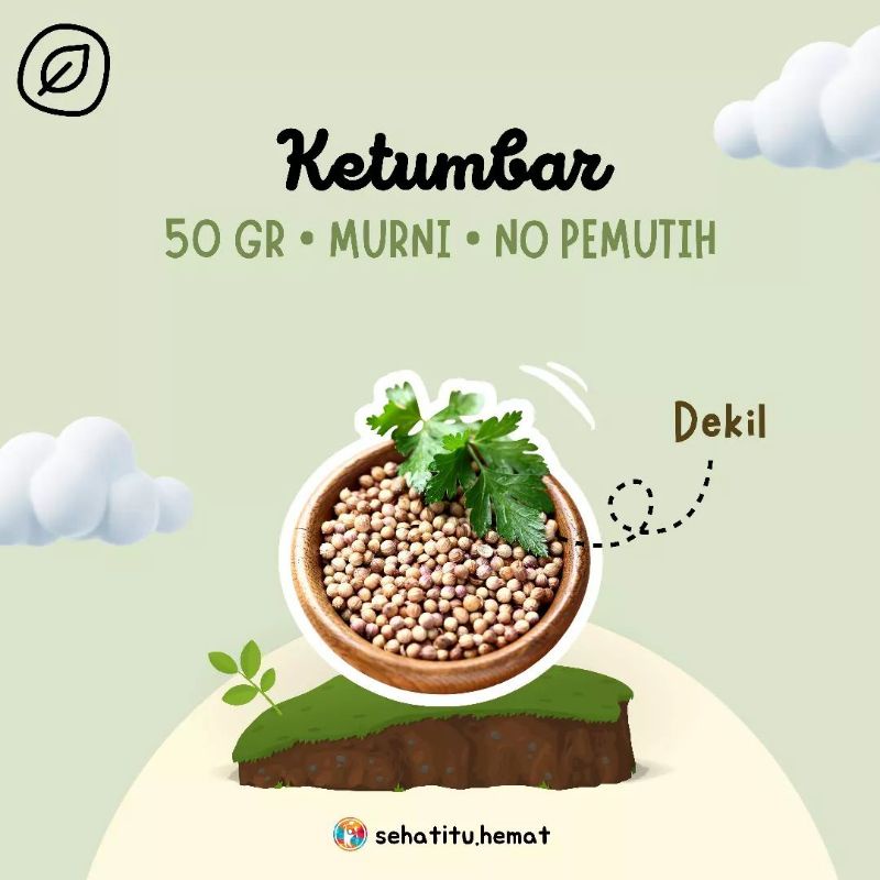 

Ketumbar Dekil Murni 50gr Tanpa Pemutih Minuman JSR