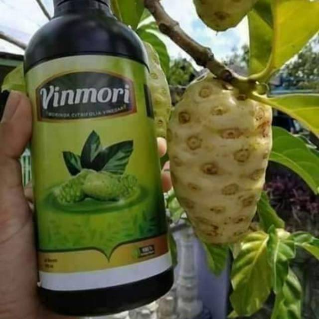 

VINMORI