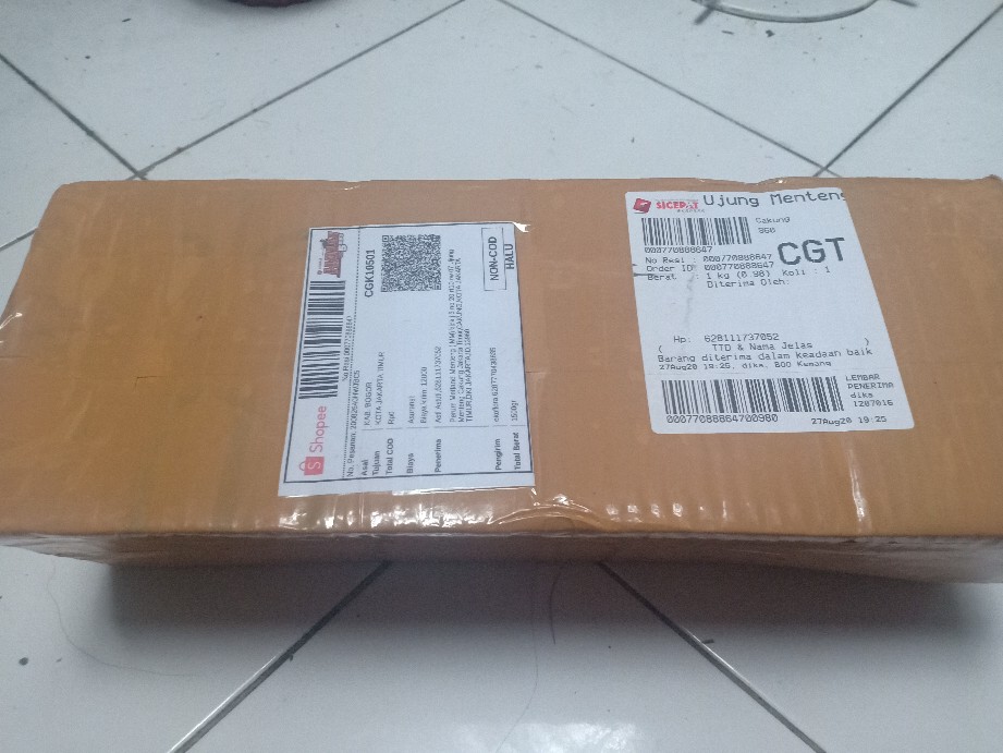 Tanaman Aglaonema Lipstik Pink/ Lipstik Kelasik