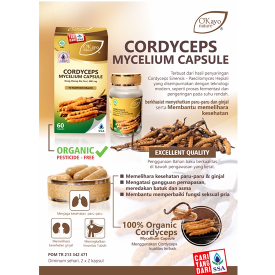 O'Kayo Nature Cordyceps Mycelium Capsule (Dong Chong Xia Cao) - Suplemen Kesehatan Paru dan Ginjal