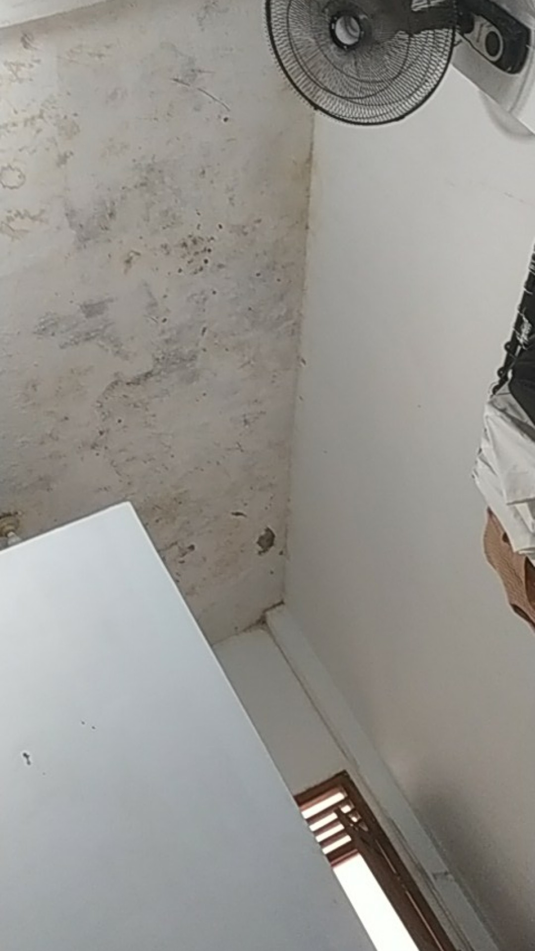 Gembok Nekel Steanlis 40 Mm 40mm Leher Panjang Kuat Murah