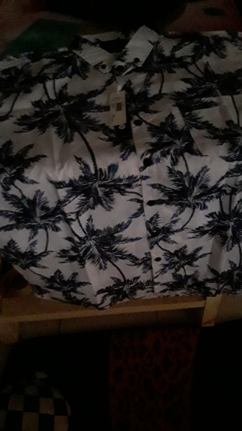 Kemeja Pria Lengan Pendek Motif