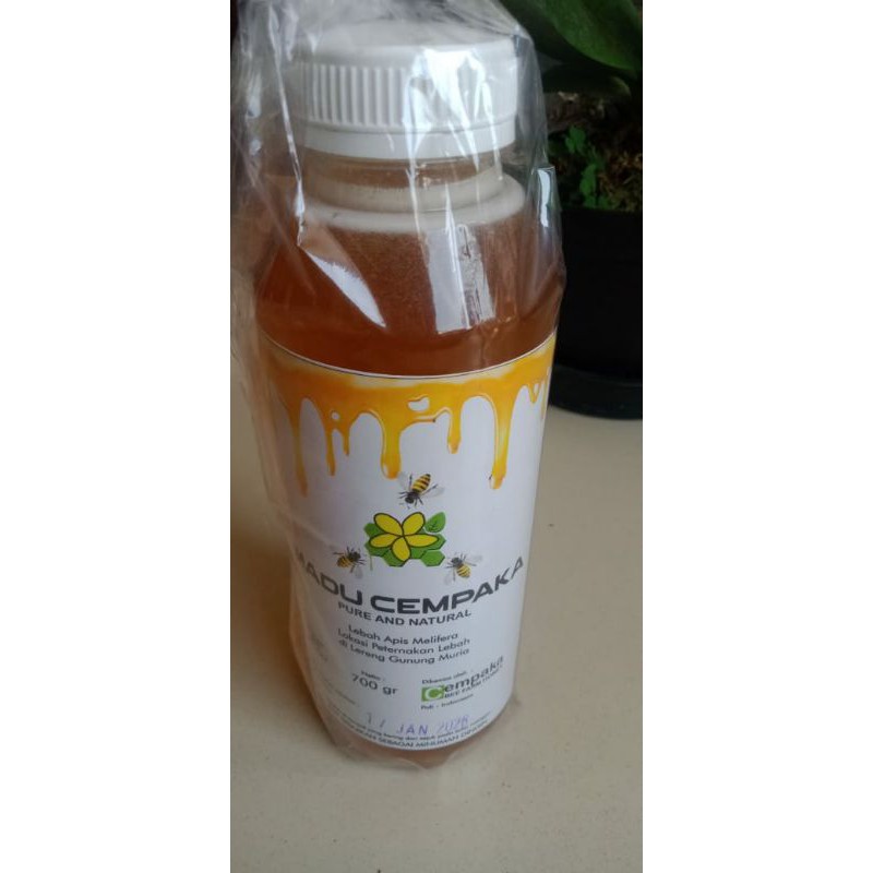 

Madu cempaka 700gr