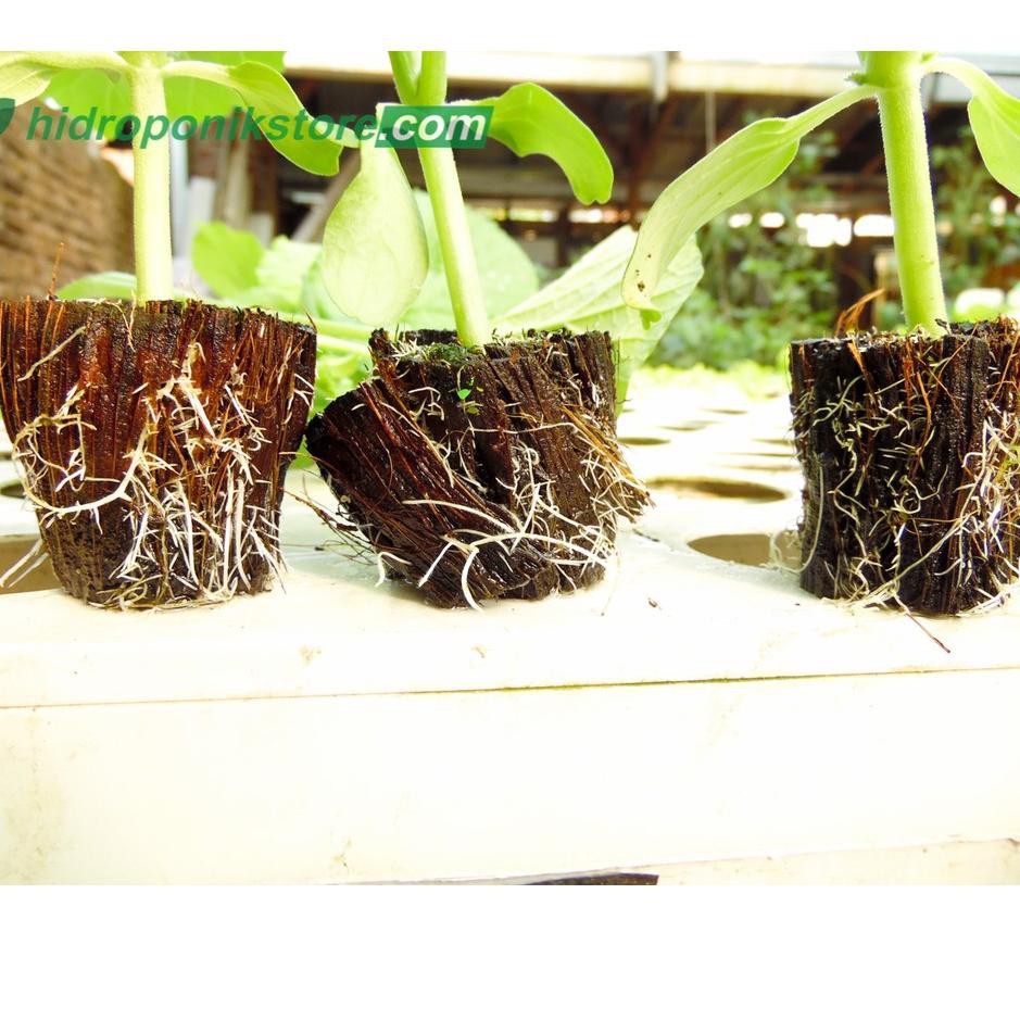 Pengganti Media Tanam Rockwool Hidroponik inspirasi