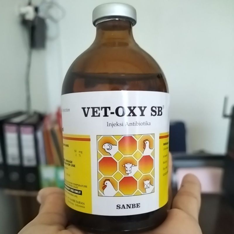 Vetoxy SB antibiotik, sapi kambing domba dan babi