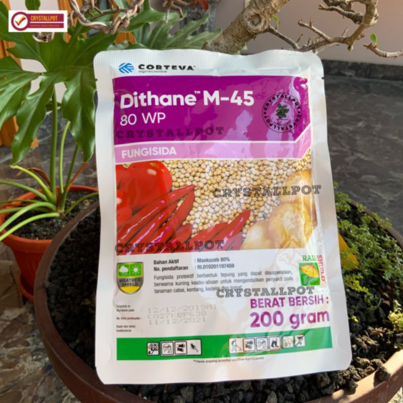 fungisida Dithane M-45 80 WP 200gr - obat pembasmi jamur pada tanaman