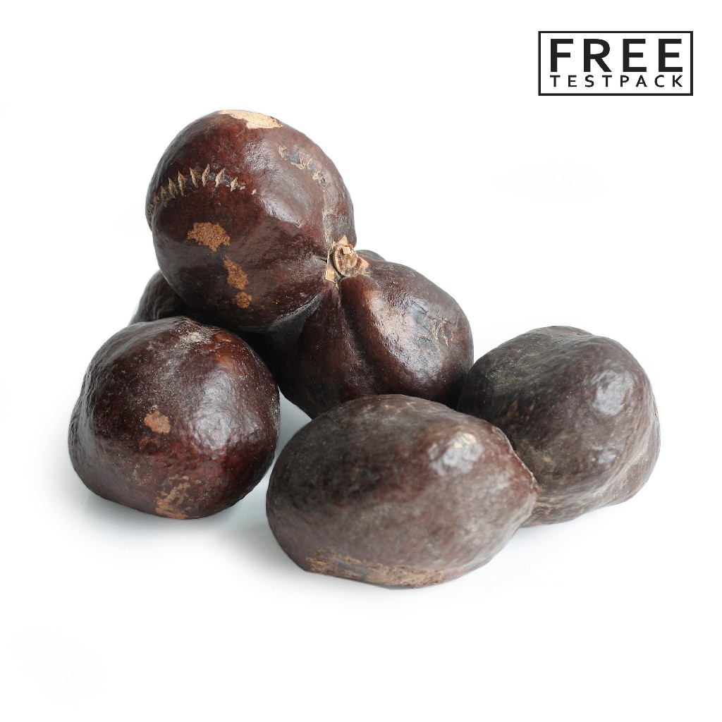 PROMOOO Buah Zuriat Kembar Madinah 1 Kg Asli Madinah