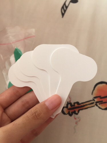 Label Tanaman / Penanda Tanaman / Plant Name / Plant Tag / Label Nama Tanaman Anti Air Semai Benih