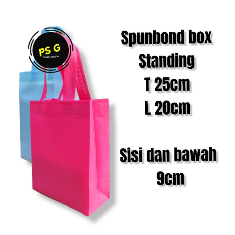 

Spunbond box 20x25x9 goodie bag (12pcs)